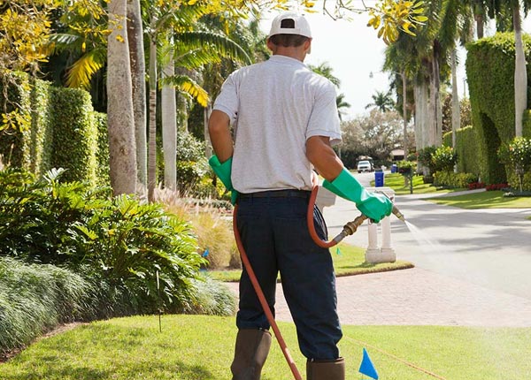 About Loysburg PA Pest Control